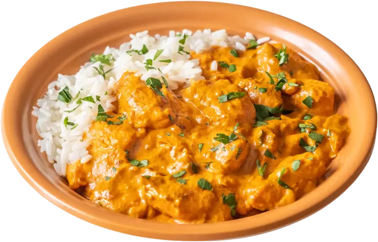 Butter chicken rice bowl in netherlands